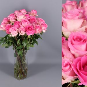 rosas pink
