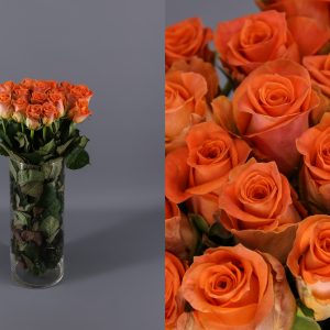 rosas naranjas colandro holandesas