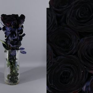 rosas negras
